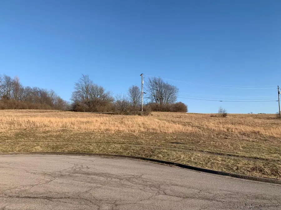 100 St. Anthony Drive, Danville, KY 40422 - #3