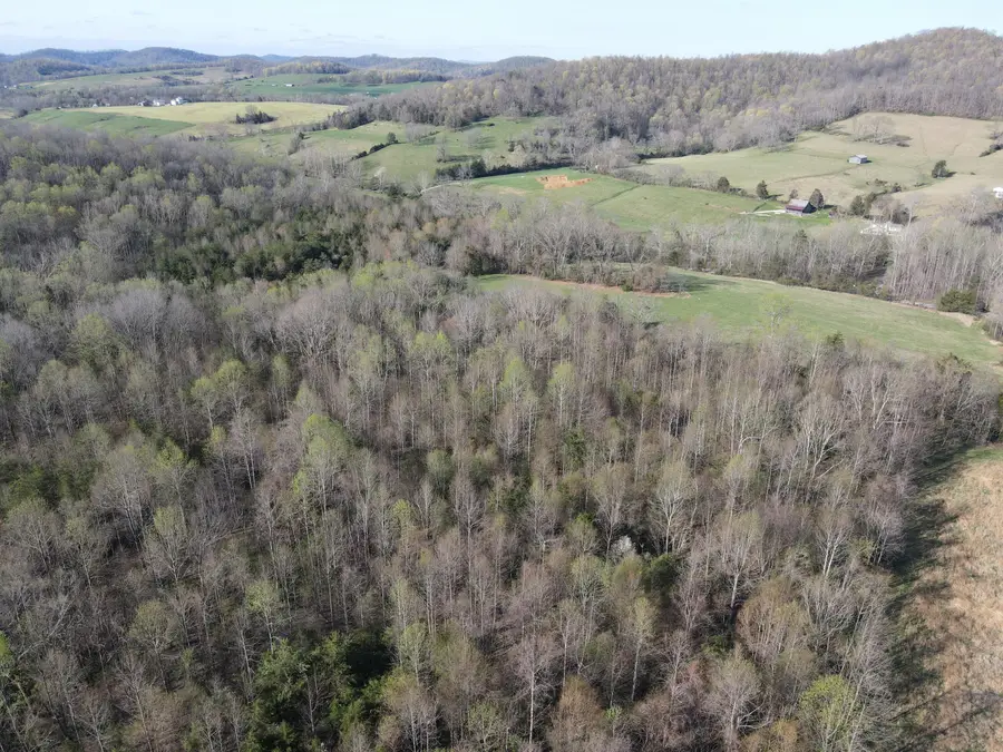 999-B Spiro Road, Mount Vernon, KY 40456 - #3