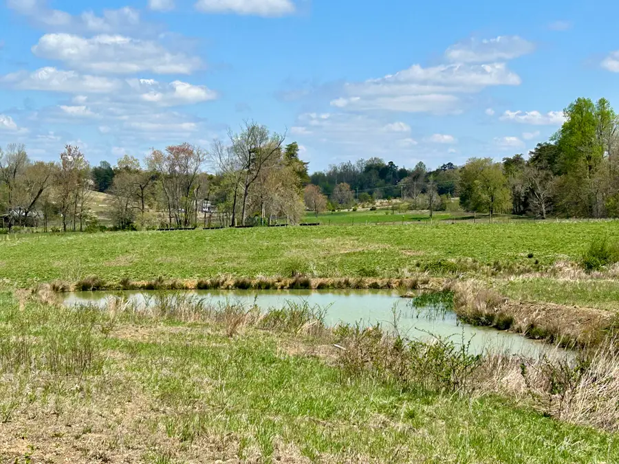 428 Dick Wilson Road, Strunk, KY 42649 - #3