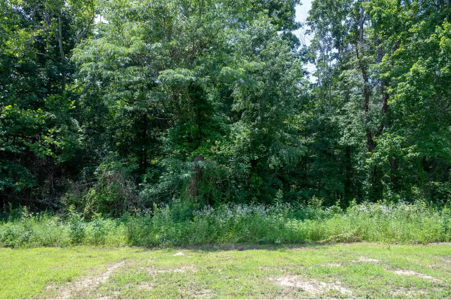 Lot 24 Outlook Drive, Owingsville, KY 40360 - #2