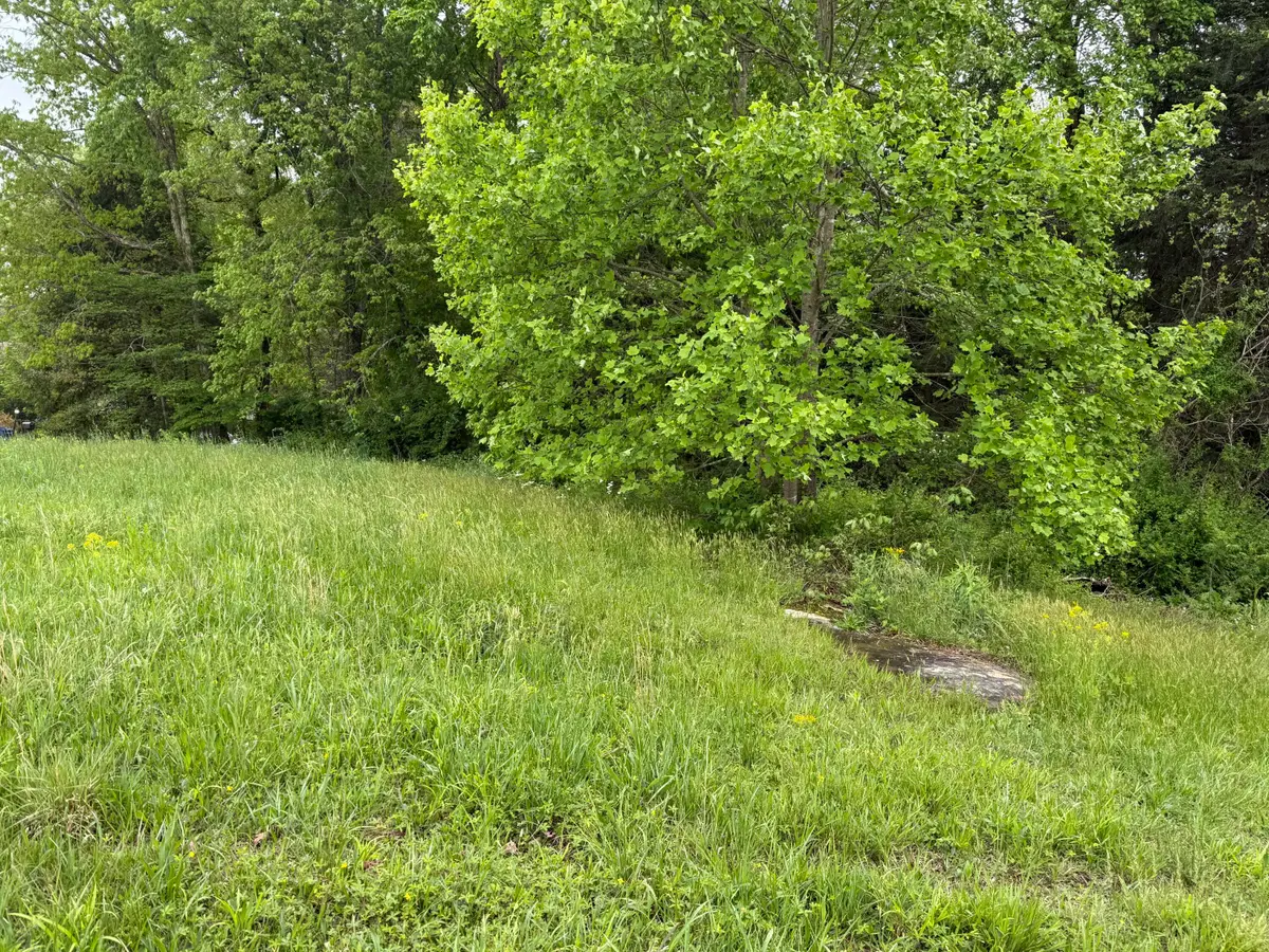9999 Warm Springs Drive, London, KY 40744 - #1