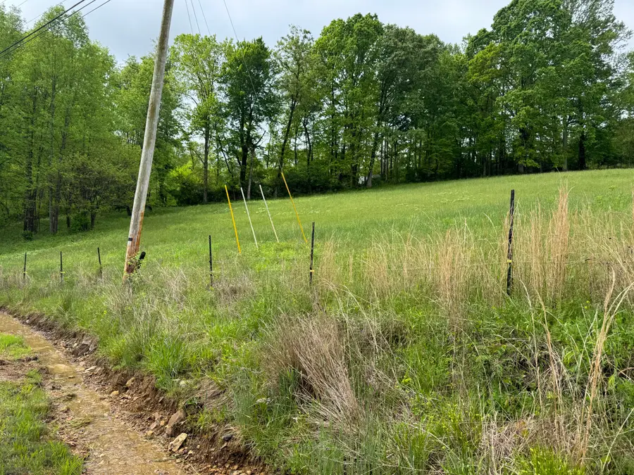 9999 Hensley Road, East Bernstadt, KY 40729 - #2