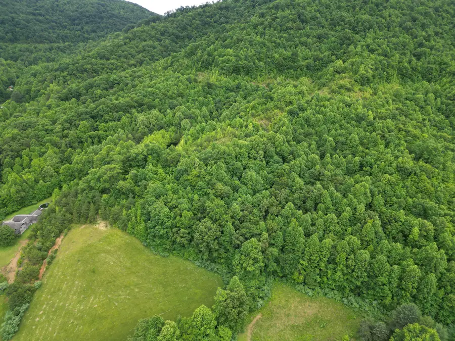 9999 King Fork Road, Barbourville, KY 40906 - #3