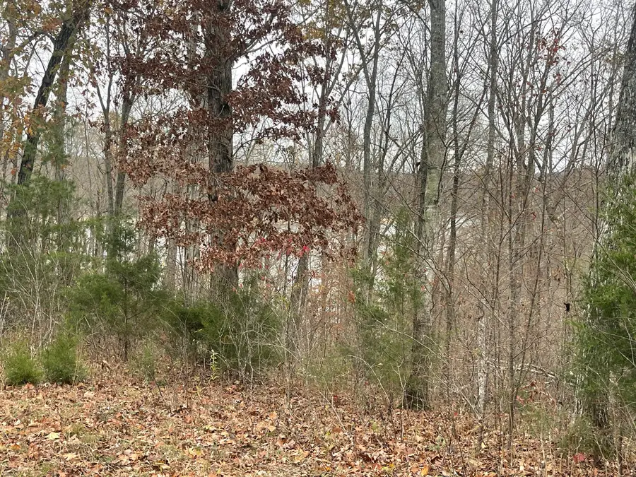 Lot 28 Cumberland Shores, Monticello, KY 42633 - #2