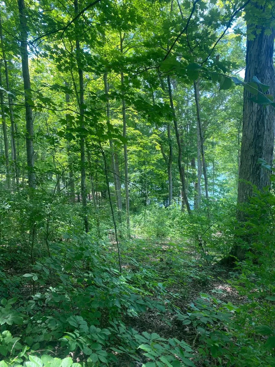 0 Columbine Drive, Carlisle, KY 40311 - #2