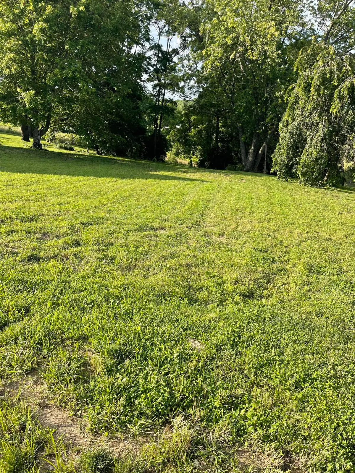 232 Mills Avenue, Flemingsburg, KY 41041 - #1
