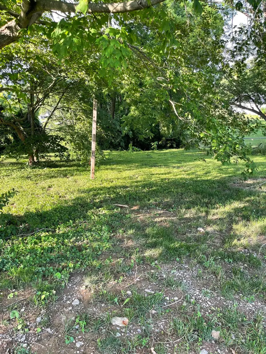 232 Mills Avenue, Flemingsburg, KY 41041 - #2