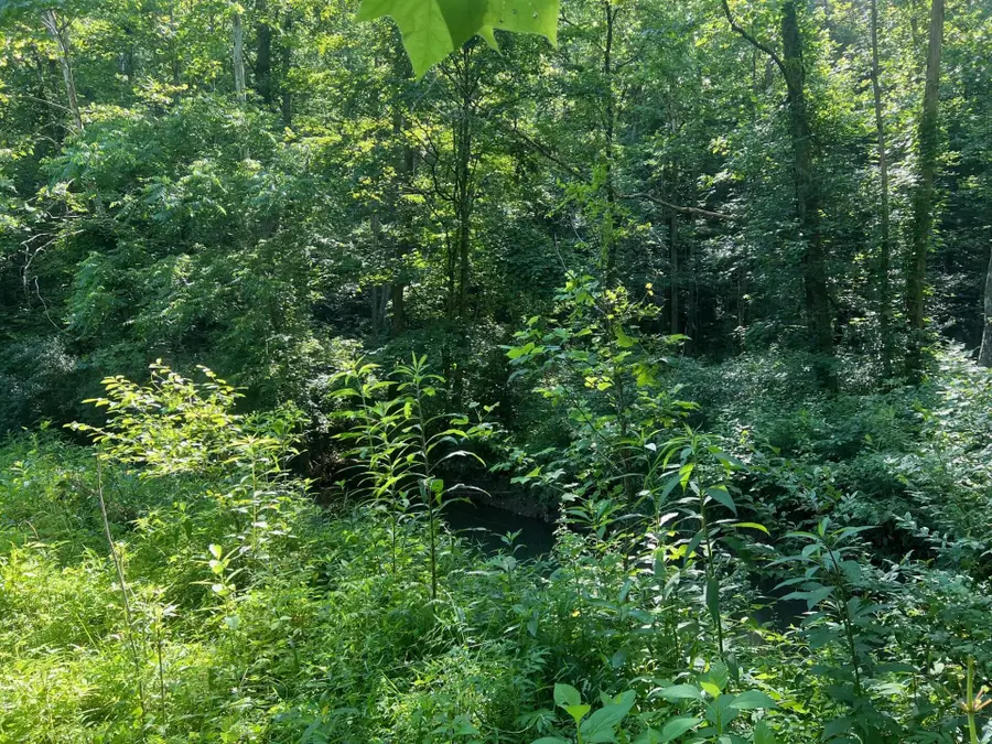 00 Se Licking River Rd, Salyersville, KY 41465 - #2
