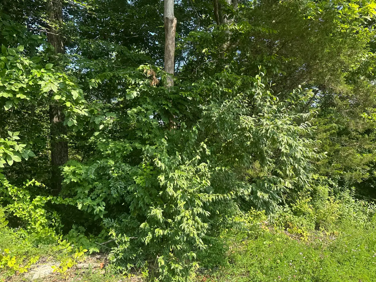 Lot 26 Rock Springs Road, Celina, TN 38551 - #1
