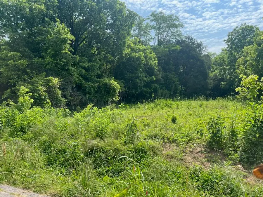 Lot 26 Rock Springs Road, Celina, TN 38551 - #2