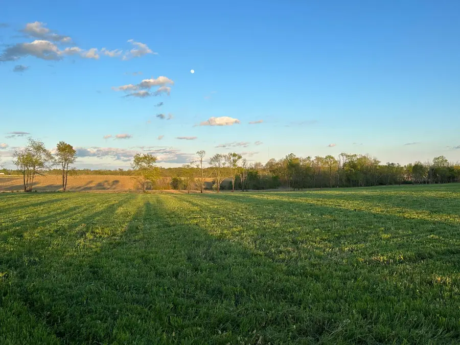 2003 Walnut Grove Road, Carlisle, KY 40311 - #3