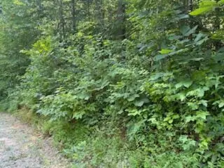 Lot 56-60 Cedar Drive, Nancy, KY 42544 - #2