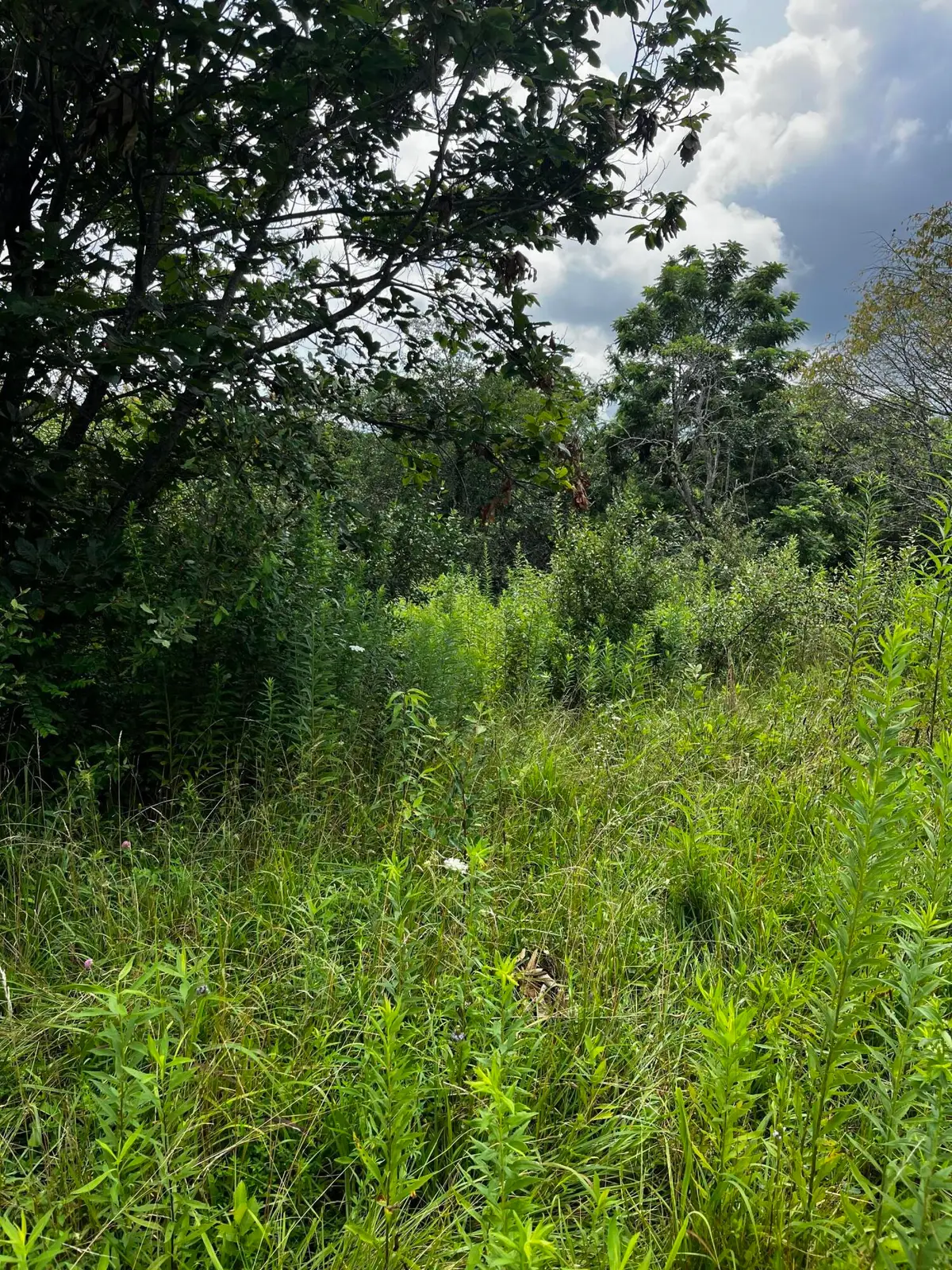 1998 Minor Road, West Liberty, KY 41472 - #1