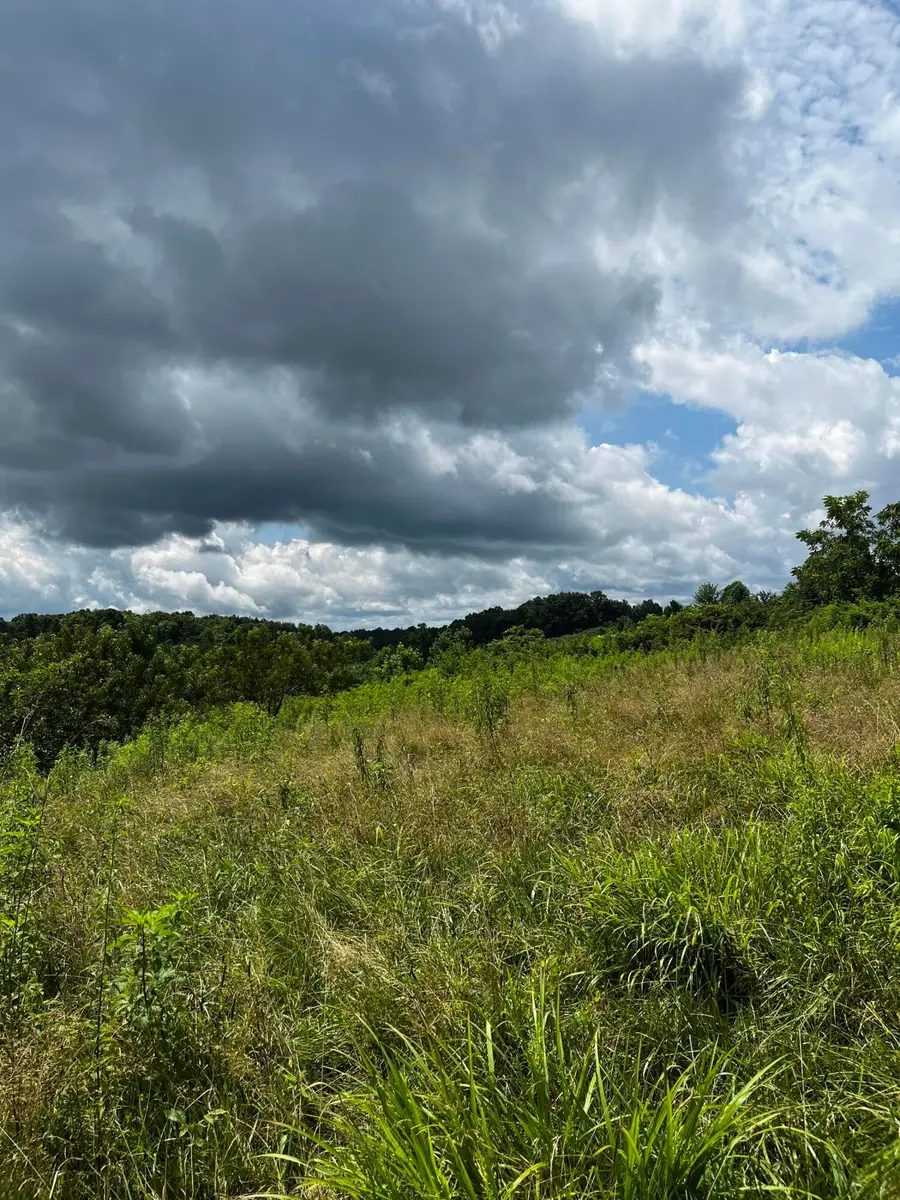 1998 Minor Road, West Liberty, KY 41472 - #3
