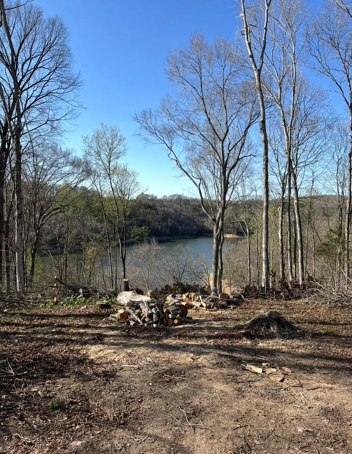 12 W Old Jamestown Road, Russell Springs, KY 42642 - #1