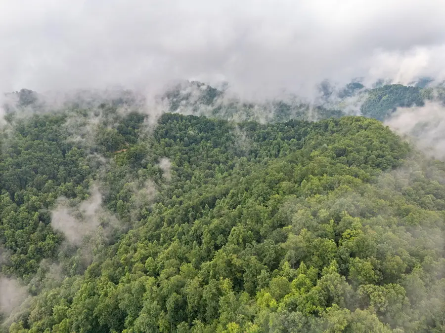 0 Hall Branch Road, Topmost, KY 41862 - #2