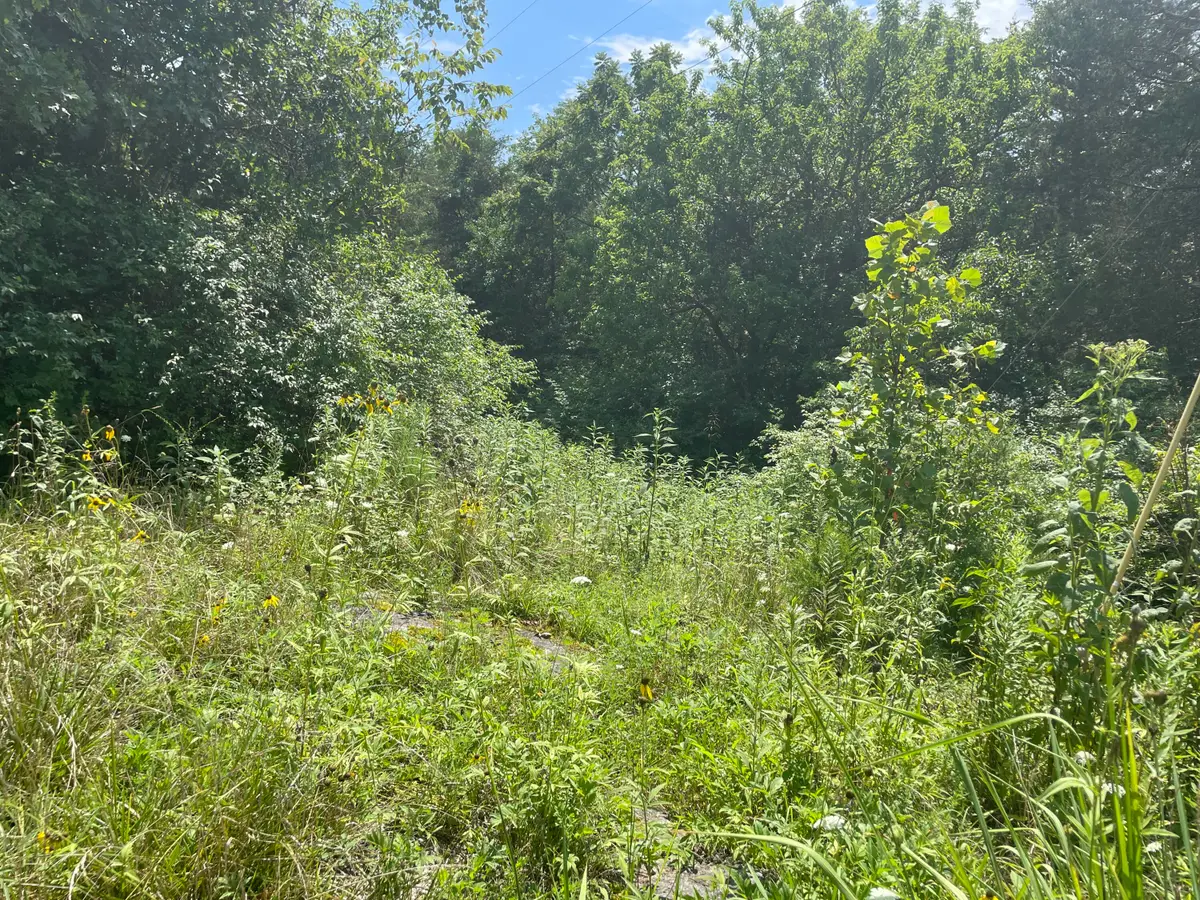 2750 Shadrick Ferry Road, Frankfort, KY 40601 - #1