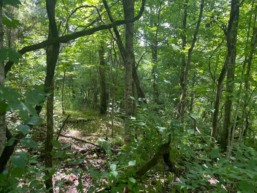 2750 Shadrick Ferry Road, Frankfort, KY 40601 - #2