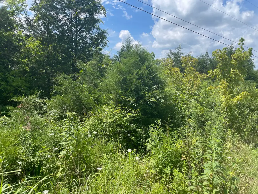 2750 Shadrick Ferry Road, Frankfort, KY 40601 - #3