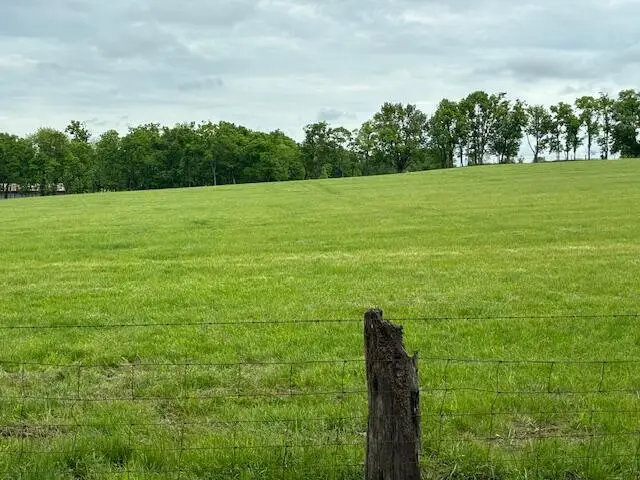 3669 Ironworks Road #B-3, Georgetown, KY 40324 - #2