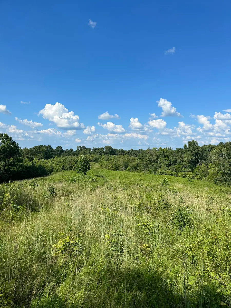 0 County Line Road, Columbia, KY 42728 - #2