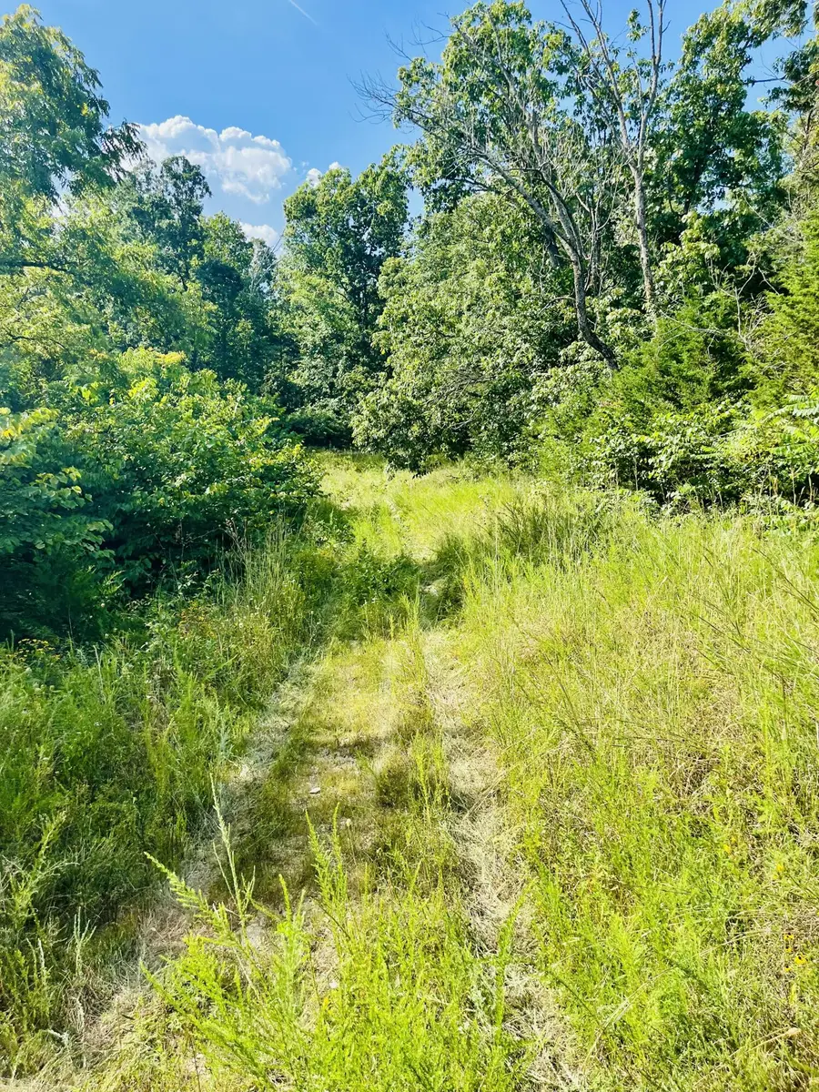 0 County Line Road, Columbia, KY 42728 - #3