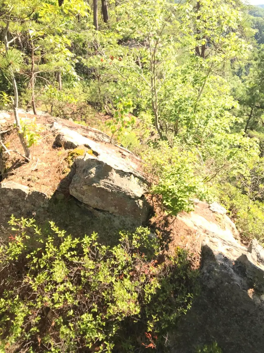 0 South Fork, Stanton, KY 40380 - #2