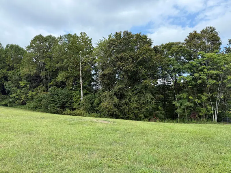 Lot 92 Stillwater, Russell Springs, KY 42642 - #1