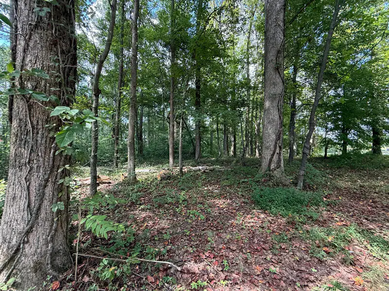 Lot 172 Stillwater, Russell Springs, KY 42642 - #3