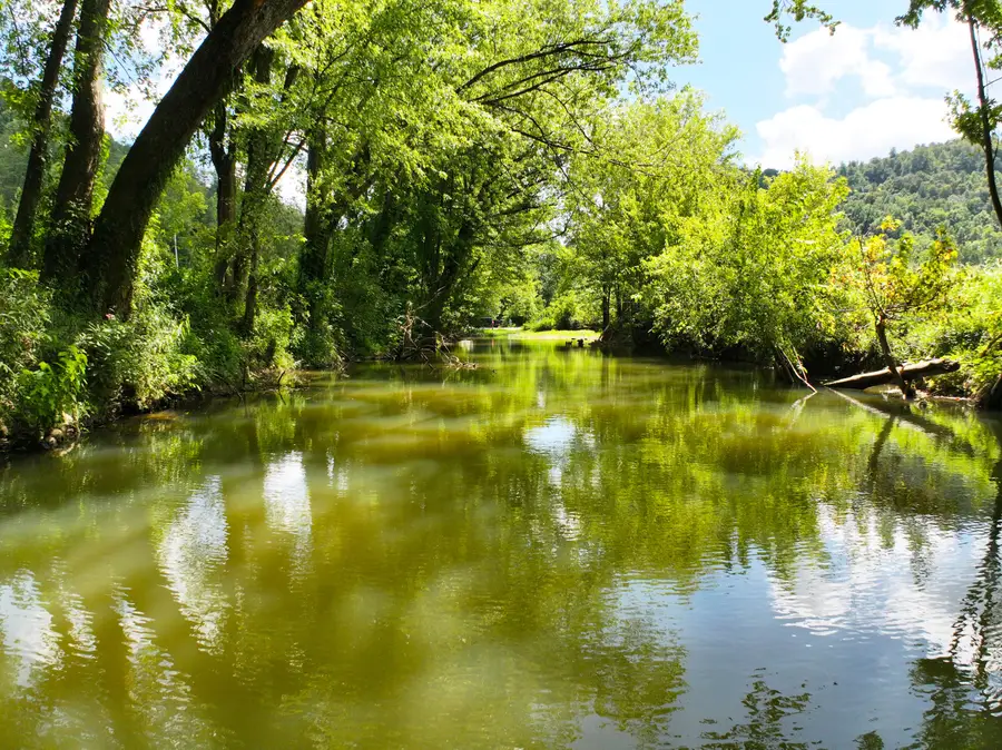 00000 Jakes Heavenly Highway, Irvine, KY 40336 - #2