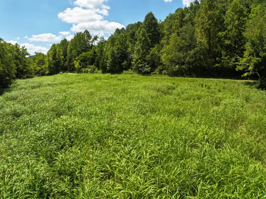 00000 Jakes Heavenly Highway, Irvine, KY 40336 - #3