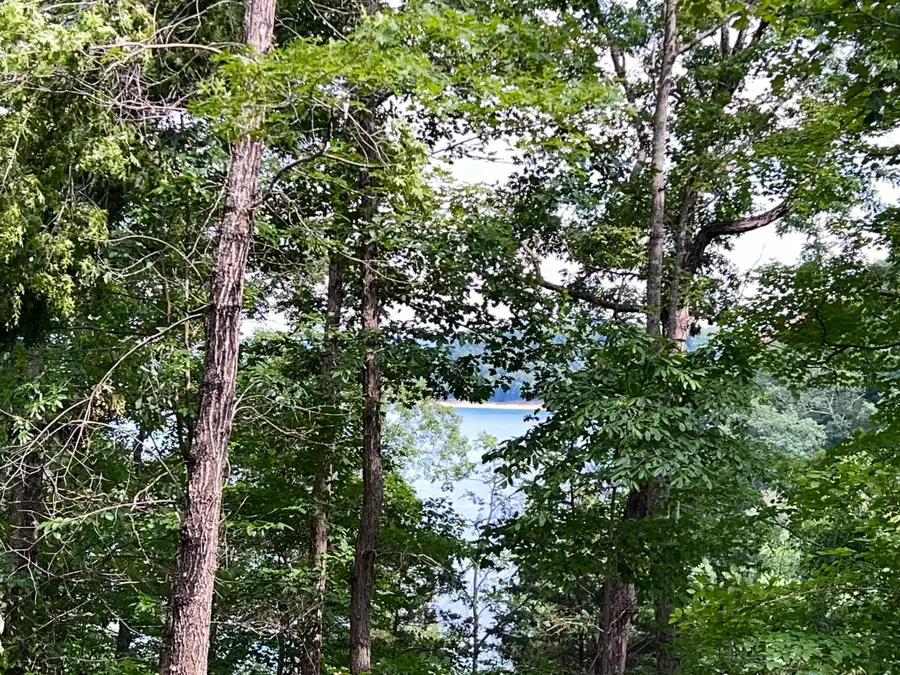 Lot 24 Restful Run, Nancy, KY 42544 - #3