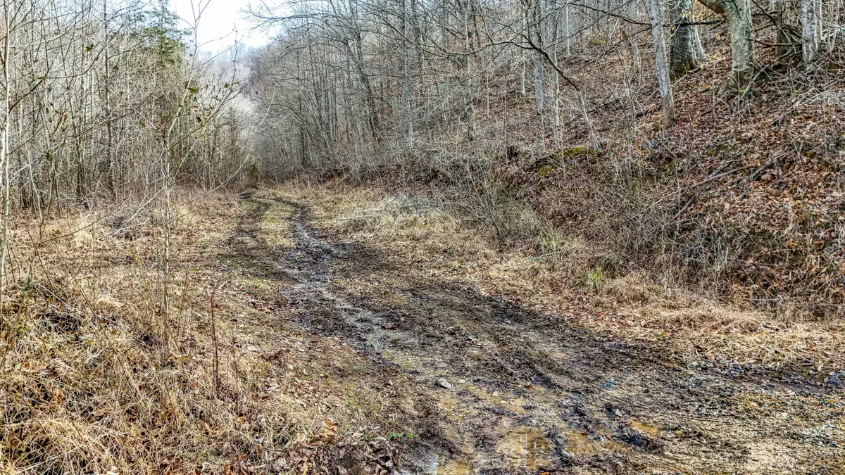 9999 Honeycutt Branch Turkey Creek, Barbourville, KY 40906 - #1