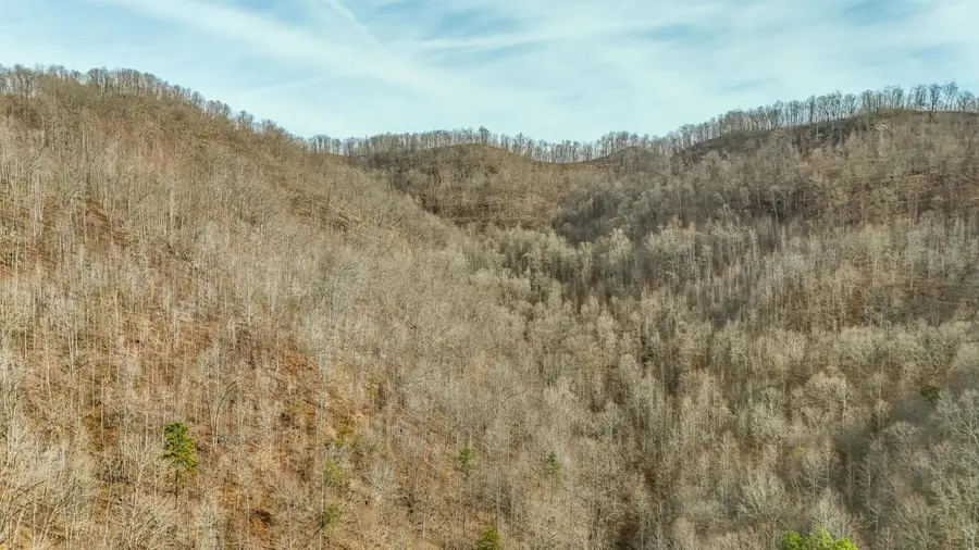9999 Honeycutt Branch Turkey Creek, Barbourville, KY 40906 - #2
