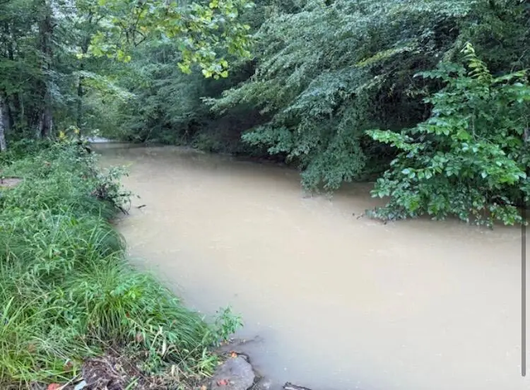 TBD Meyers Fork Road, Denniston, KY 40316 - #3