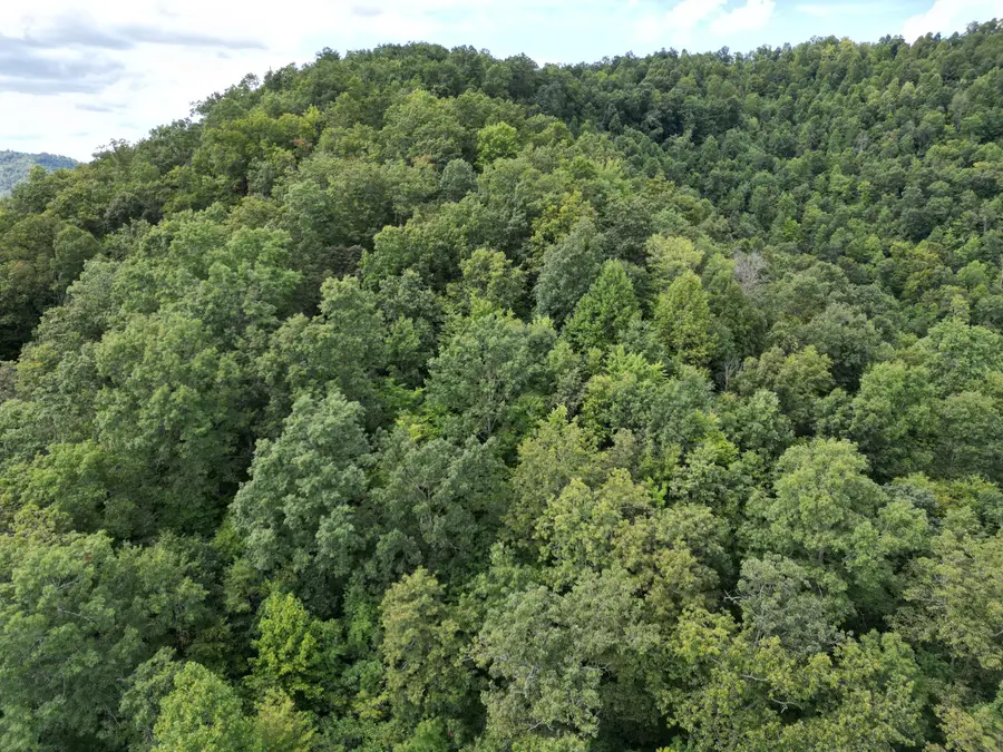 9991 Us-11 Highway, Manchester, KY 40962 - #2