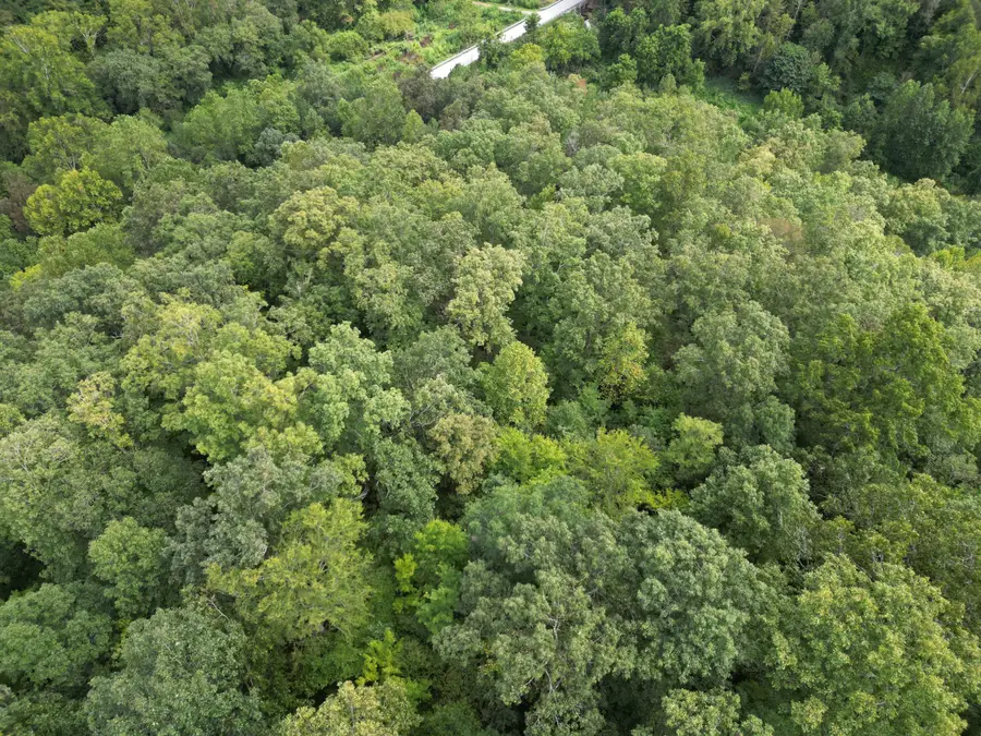 9991 Us-11 Highway, Manchester, KY 40962 - #3