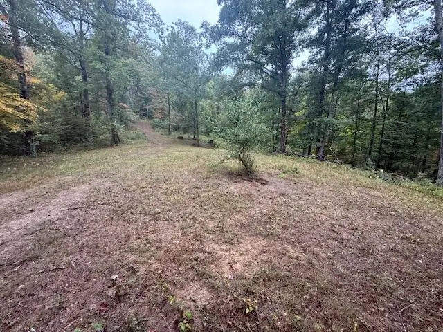 15709 Trace Road, Rush, KY 41168 - #1