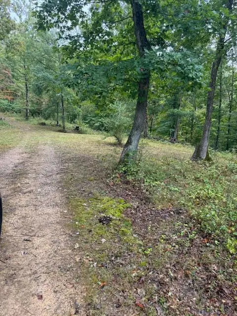 15709 Trace Road, Rush, KY 41168 - #3