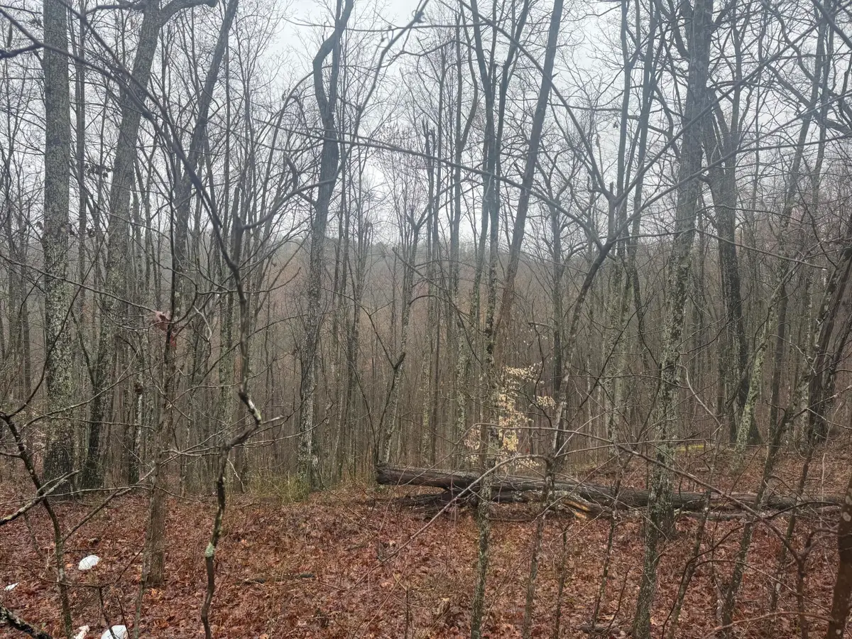 91 Acres Land Cains Creek Road, Sandy Hook, KY 41171 - #1