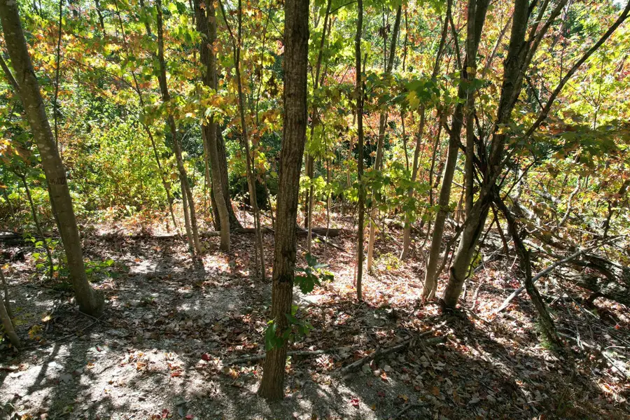 0 Evans Sisters Road, Flemingsburg, KY 41041 - #3