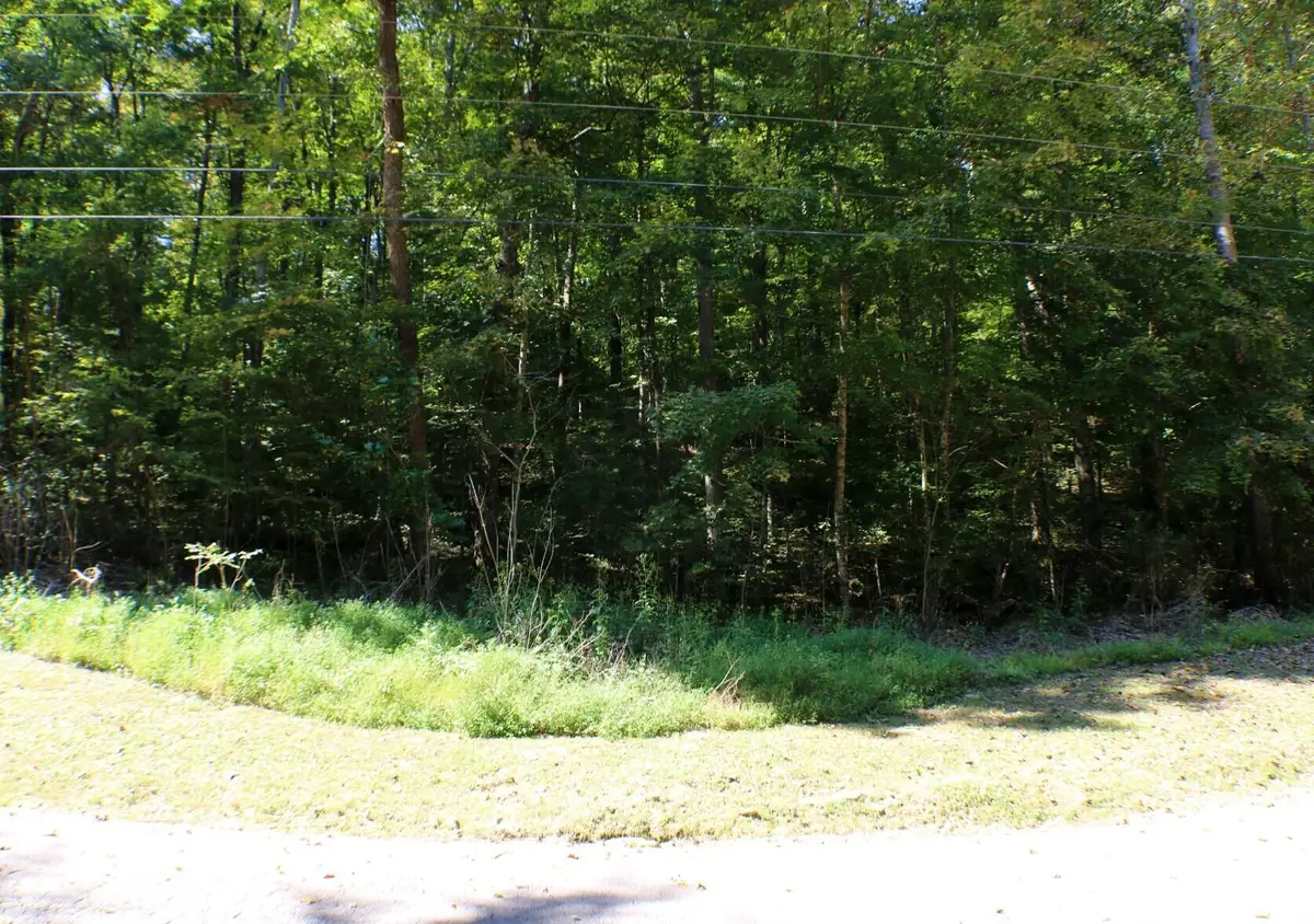 406 Harmony Lane, Burnside, KY 42519 - #1