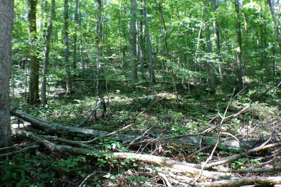 406 Harmony Lane, Burnside, KY 42519 - #2