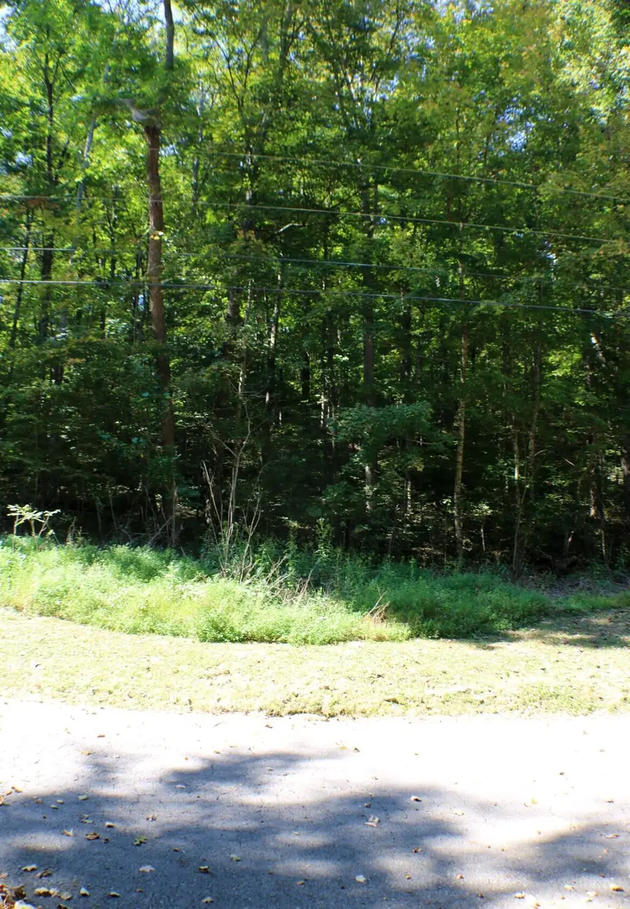 406 Harmony Lane, Burnside, KY 42519 - #3