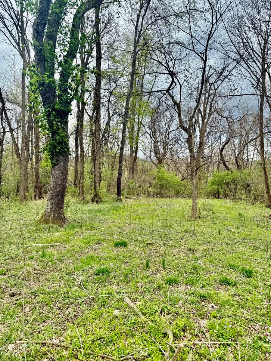 4091 Akin Lane, Burlington, KY 41005 - #2