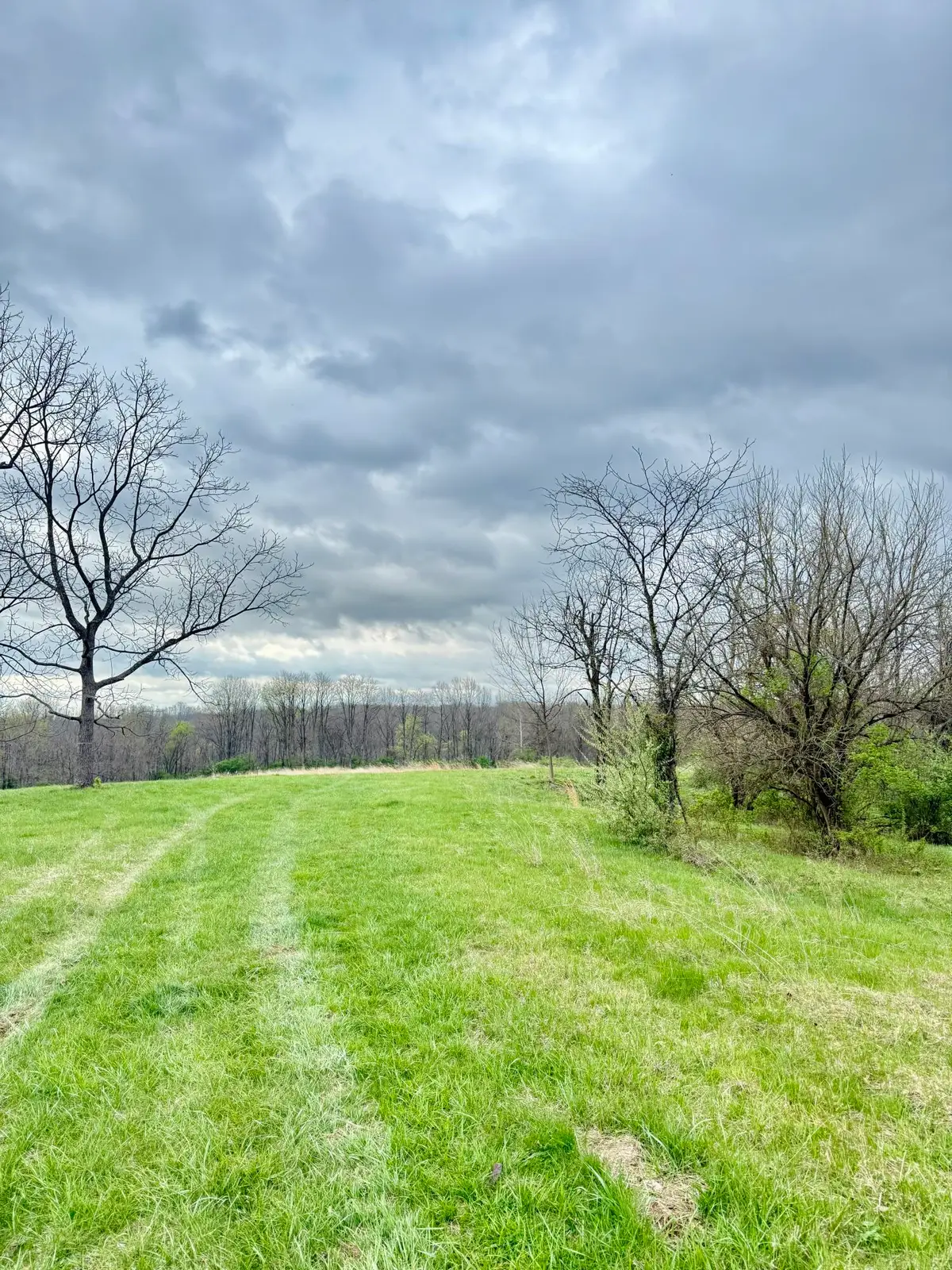 4151 Akin Lane, Burlington, KY 41005 - #1