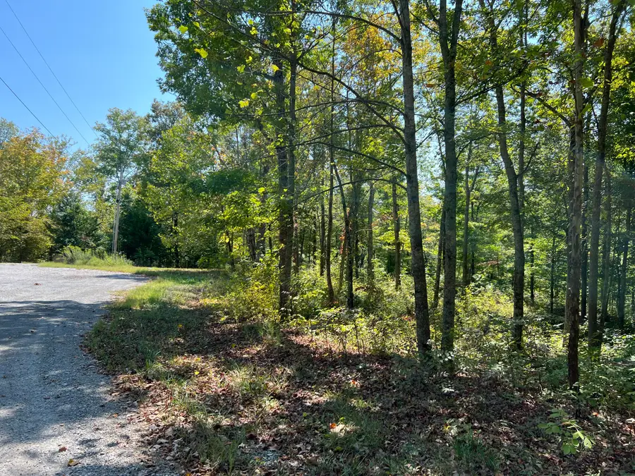 lot 25  Restful Run Rd, Nancy, KY 42544 - #3