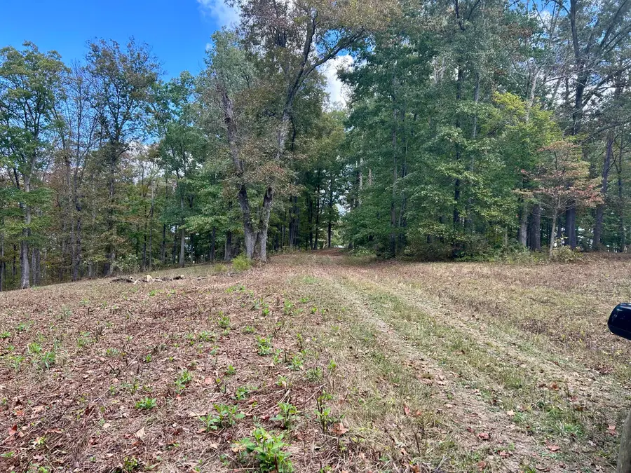 23 acres Davis Lane, Columbia, KY 42728 - #3