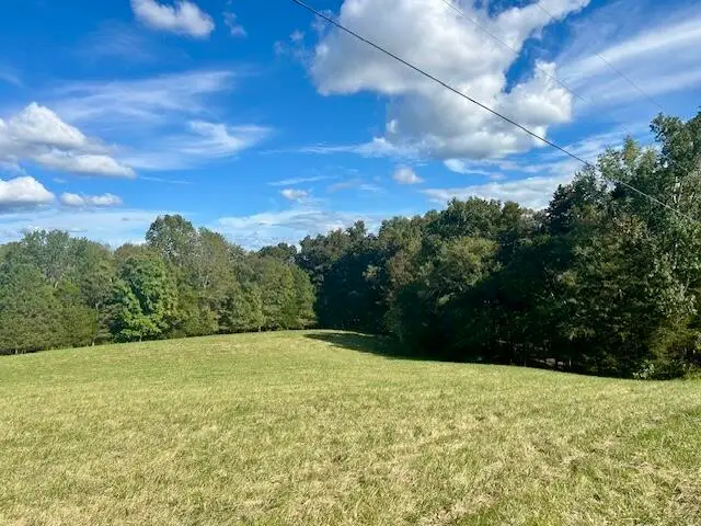 29.06 acres Hutchison Loy Road, Columbia, KY 42728 - #2