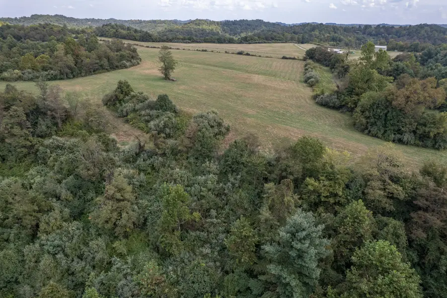 363 Higgins Branch Road, Royalton, KY 41464 - #3